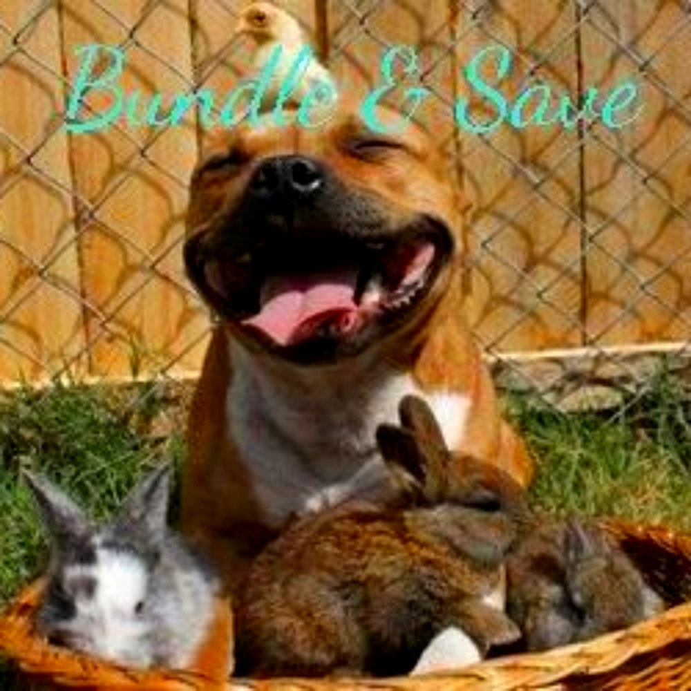 Bundle & Save!